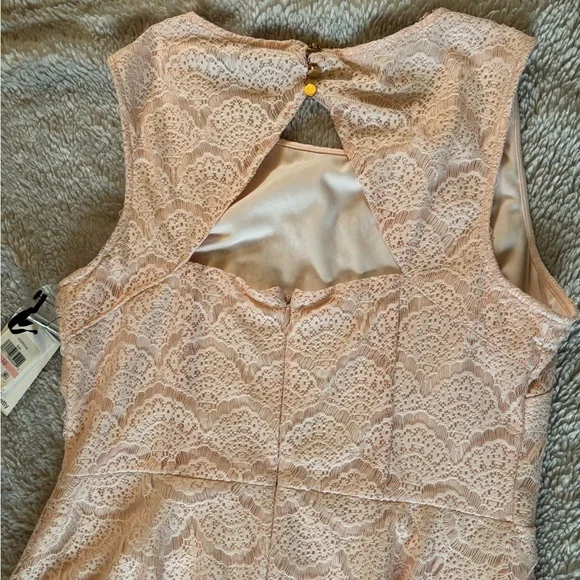 Kensie Pink Lace Dress - Picture 5 of 7